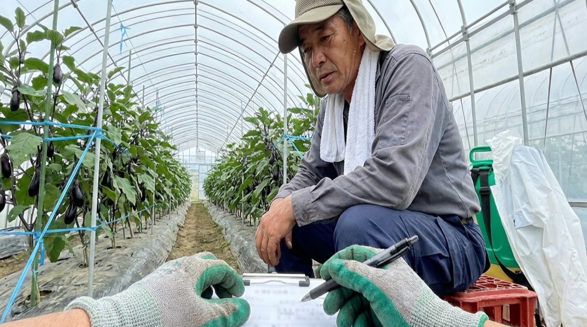 農家さんのほ場での栽培管理記録簿の手書き作業